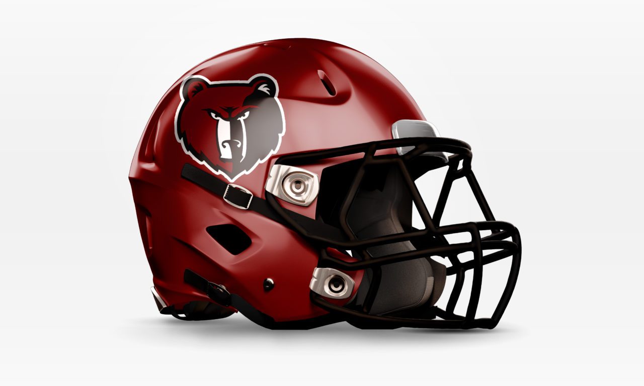 Davidson Academy Bears Helmet