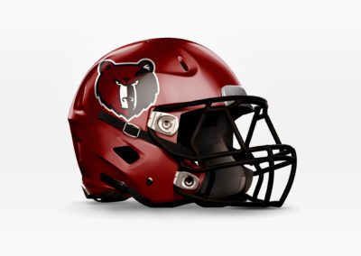 Davidson Academy Bears Helmet