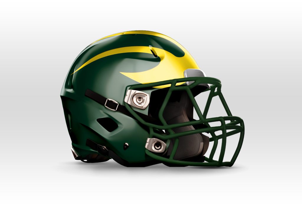 Hillsboro Burros Football Helmet