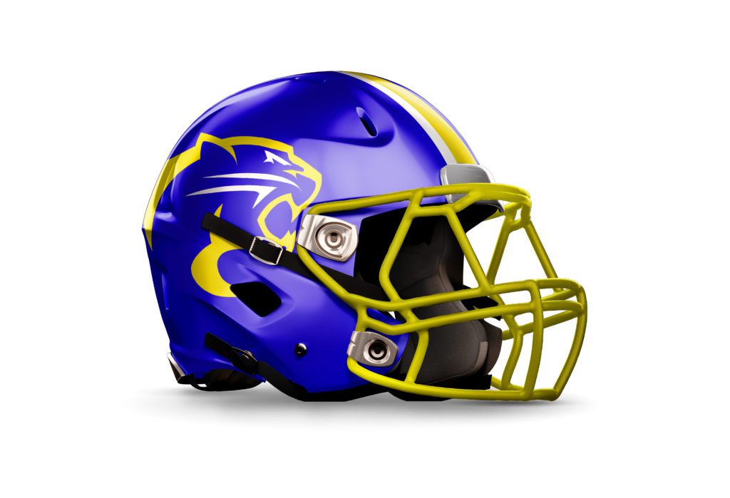 Tennessee High School Football Helmets | D1 HIGHLIGHTS